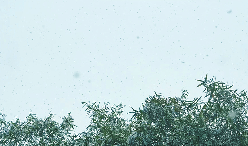 雪天穩產無憂！三圓堂振動篩冬季適配方案 + 專業維護指南